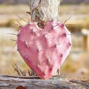 Meet your Posher, Lupita